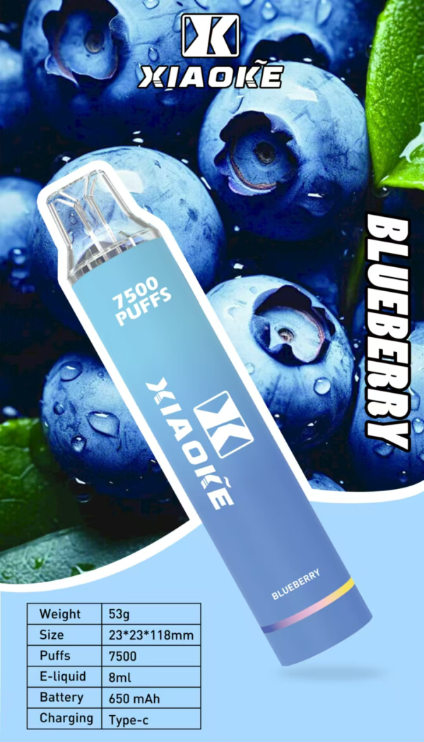 微信图片_20250528161311 梟客抛棄式7500口 ✨可充電🔋限時活動 💖女生首選.