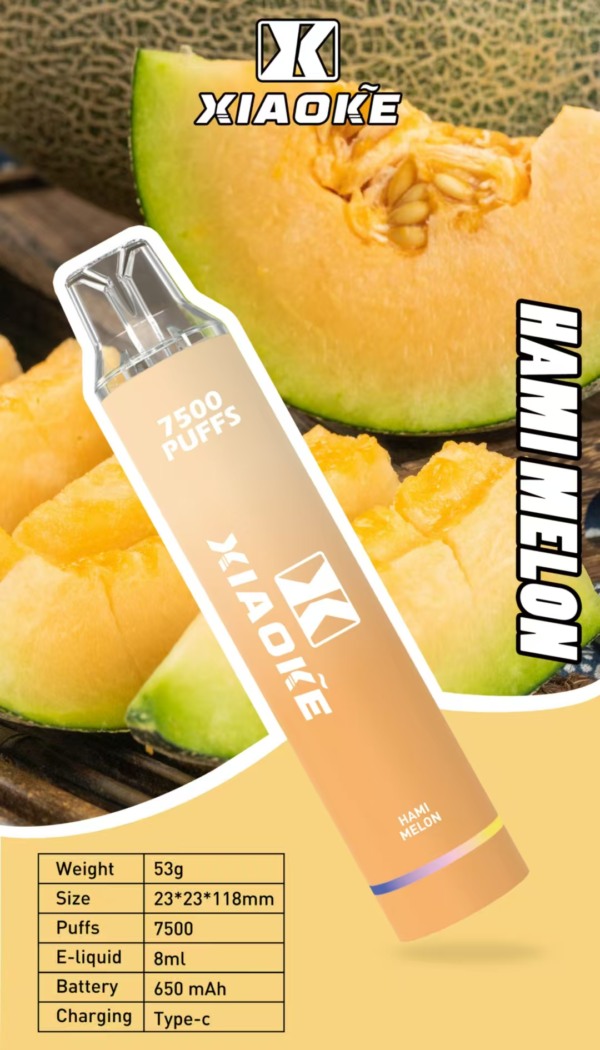 微信图片_20250528161317 梟客抛棄式7500口 ✨可充電🔋限時活動 💖女生首選.